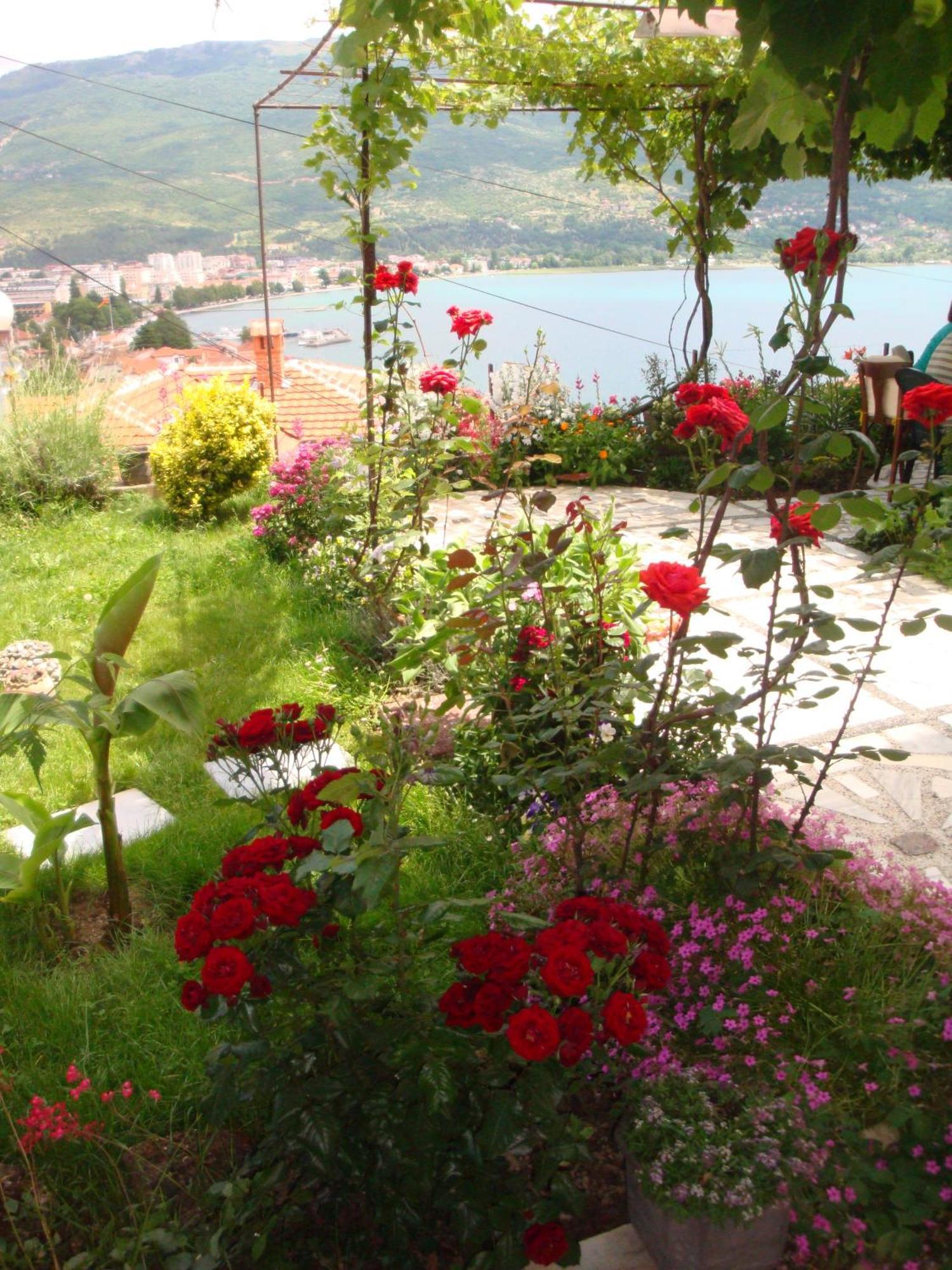 Apartments Villa Saray Ohri Dış mekan fotoğraf