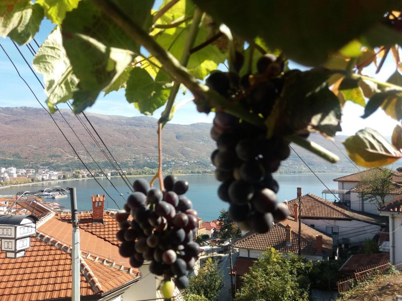 Apartments Villa Saray Ohri Dış mekan fotoğraf